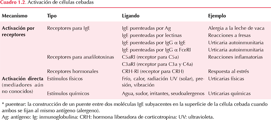 figura 1