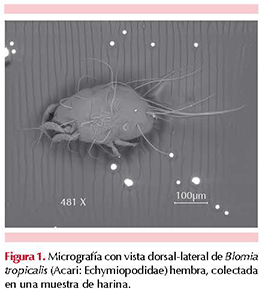 figura 2