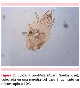 figura 2