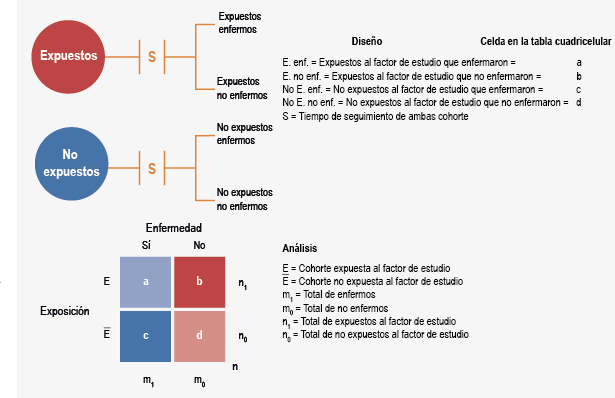 figura 6