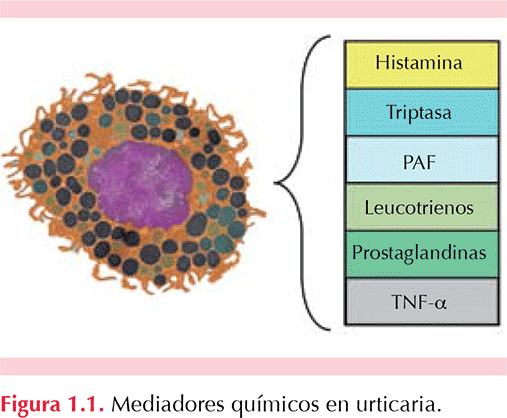 figura 1